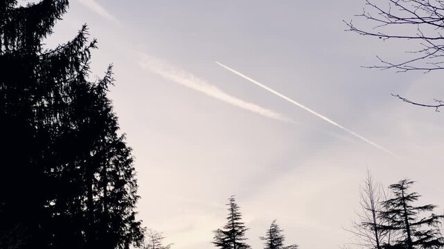 Airplane leaving a long, white condensation trail as it flies across a hazy sky, with dark silhouettes of fir and pine trees framing the serene scene from below during a cold winter day