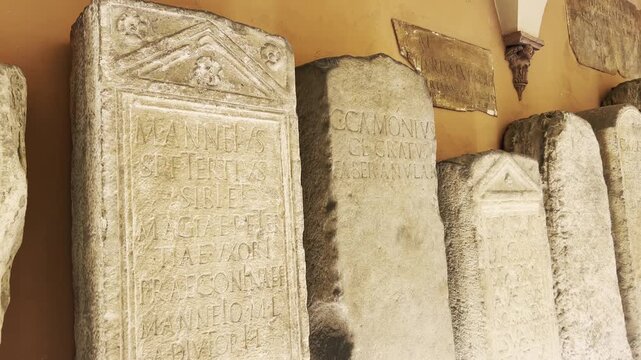 Collection of ancient Roman empire funeral steles with Latin epigraphs and engravings, displayed in a row inside a historical museum showing archaeological artifacts from the past