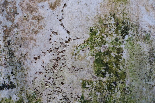 Close-up texture detail of an old, damaged, moldy, and cracked house wall.