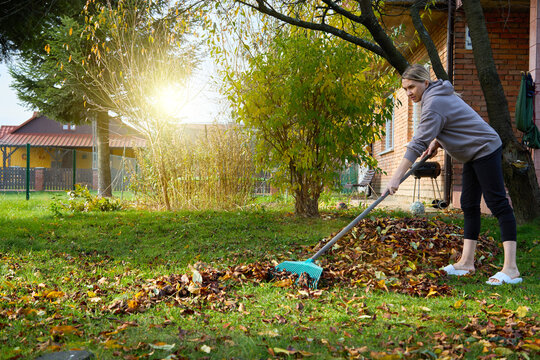 A young woman is cleaning up dry autumn leaves in the yard.