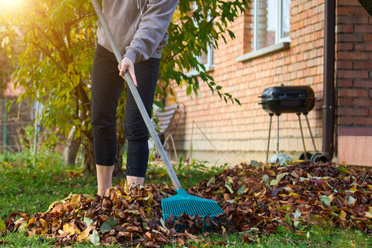 A young woman is cleaning up dry autumn leaves in the yard.