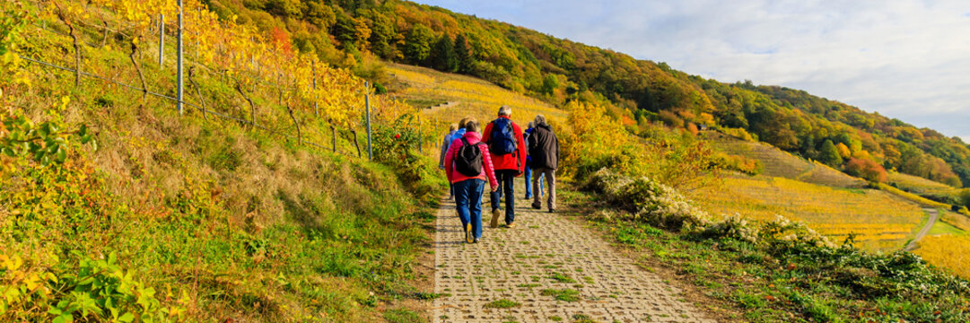 Blurred Group of people walking along a path in a vineyard during autumn in Germany