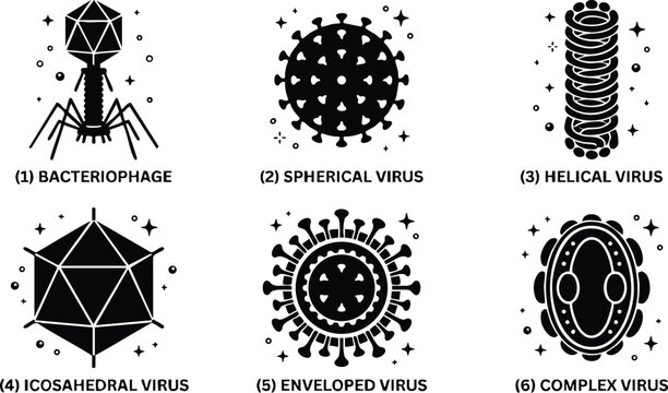 Black and white bacteriophage spherical helical icosahedral enveloped and complex virus vector art set