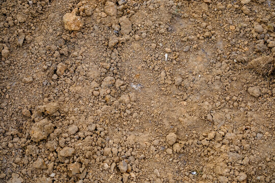Dry brown soil texture with small stones and clods, natural ground background, earthy rough surface, agriculture land closeup pattern