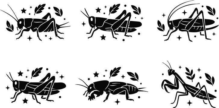 Six different grasshopper and praying mantis insects with stars and leaves