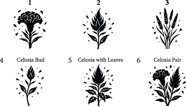 Black and white celosia flower pair with stylized leaves vector art