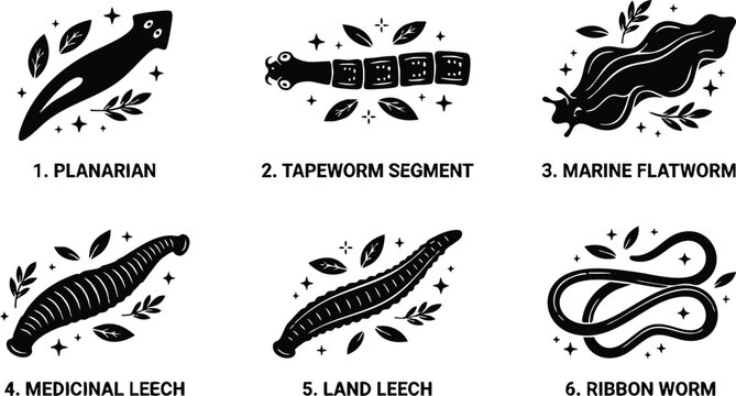 Black and white silhouette flat design parasites set with planarian tapeworm segment marine flatworm medicinal leech land leech and ribbon worm
