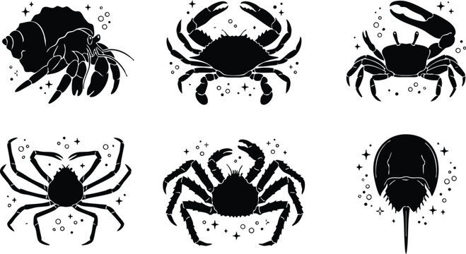 Black and white sea crustaceans silhouette collection with sparkles vector art
