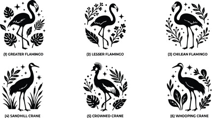 Fototapeta premium Six different types of flamingo and crane birds with botanical elements