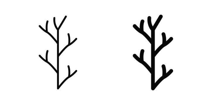 Algae icon concept. Thin line symbol. Solid icons