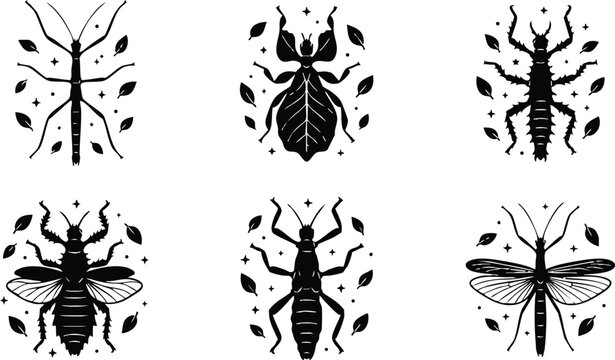 Black and white insect silhouettes with leaves and stars vector art collection