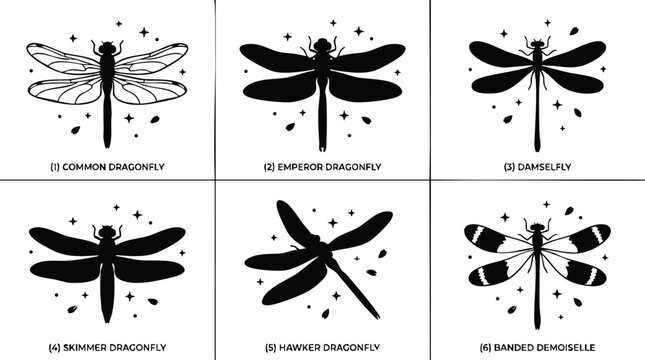 Black and white dragonfly species icons in flat vector art style