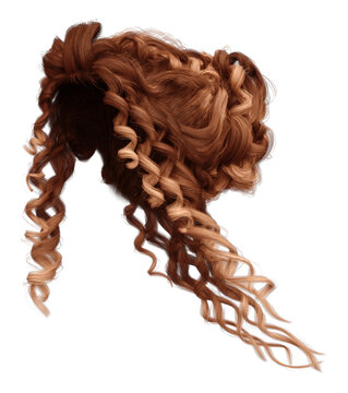 3d render curly hair bun hairstyle copper isolated