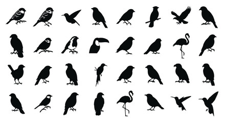 Fototapeta premium Diverse collection of black bird silhouettes in various poses and species isolated on a clean white background showcasing avian diversity and freedom in nature