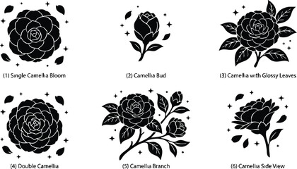 Obraz premium Black silhouette camellia bloom bud branch with glossy leaves and side view vector art