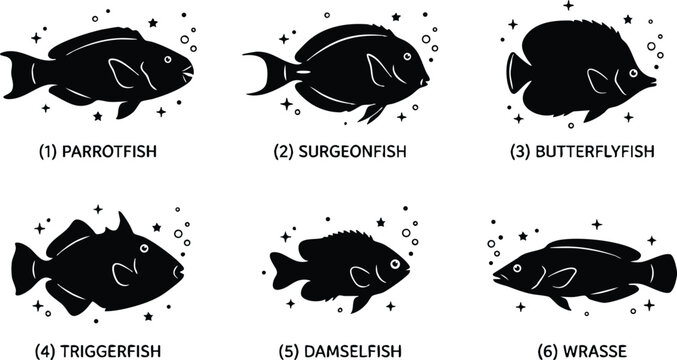 Black silhouette parrotfish surgeonfish butterflyfish triggerfish damselfish and wrasse sea fish vector art
