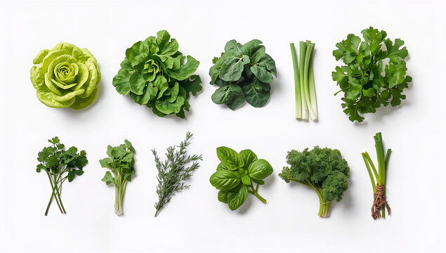 白背景に葉物野菜と香草を並べたヘルシーな商品写真