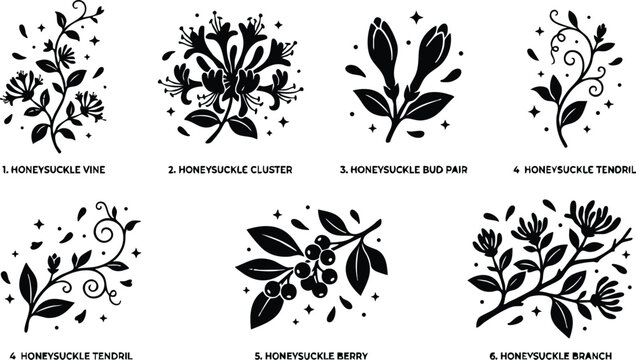 Black and white honeysuckle vine bud cluster and berry floral silhouette vector art