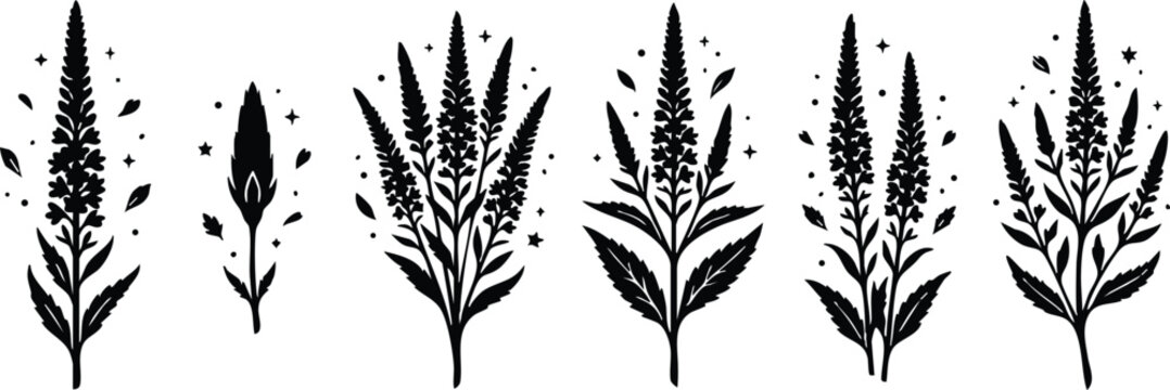 Black and white floral lavender branch vector art with leaves and stars