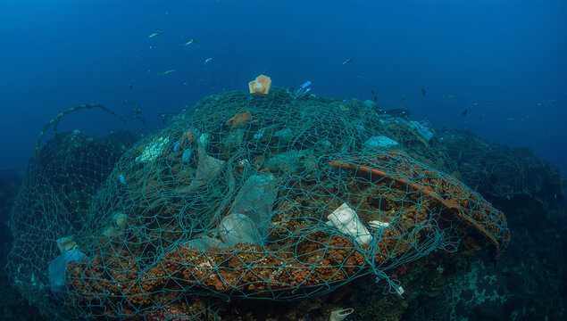 漁網ごみが海中で絡まり生態系への危険を示す環境写真