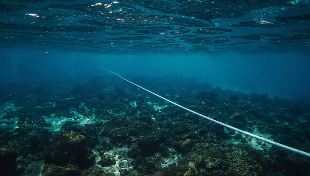海中景観の中を進む発光ケーブルで広域通信を表現した写真