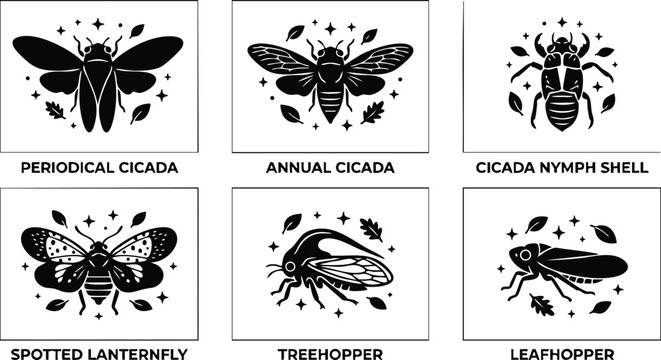 Six different cicada and hopper insects with leaves and stars