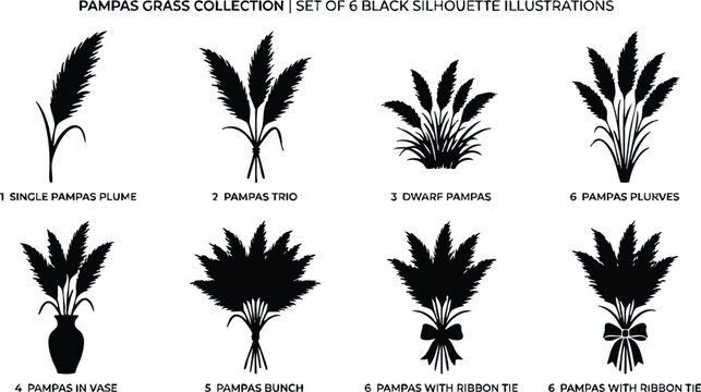 Black silhouette pampas grass collection single plume trio dwarf bunch and vase with ribbon tie