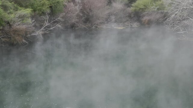Steam rises from a geothermal pool surrounded by lush vegetation in Tokaanu Thermal Walk, Tokaanu, Waikato, New Zealand. The natural phenomenon showcases the Earth's power.