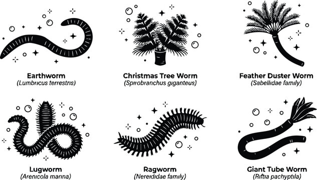 Black and white worm species vector art with earthworm christmas tree worm feather duster lugworm ragworm and giant tube worm