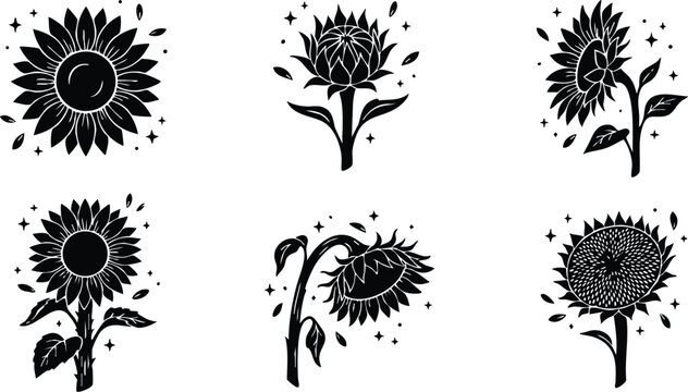 Black and white sunflower icon set with blooming and drooping flowers