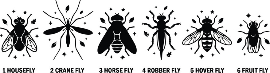 Naklejka premium Black silhouette housefly crane fly horse fly robber fly hover fly fruit fly set vector art