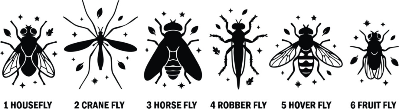 Black silhouette housefly crane fly horse fly robber fly hover fly fruit fly set vector art