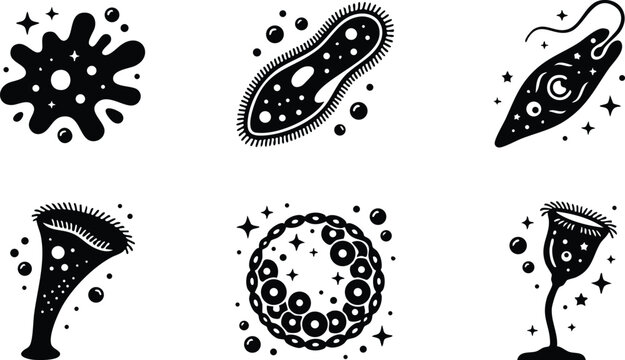 Microscopic protozoa and microorganisms set