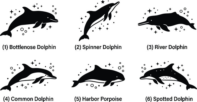 Black and white bottlenose spinner common spotted dolphins and harbor porpoise vector line art