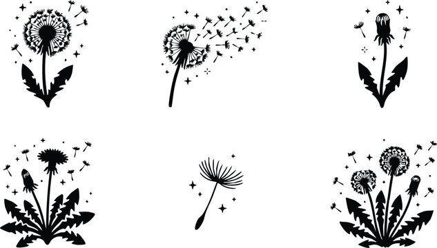 Black and white dandelion seed head with flying seeds vector art