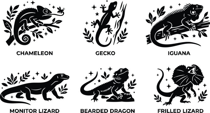 Black and white lizard species icons including chameleon gecko iguana monitor lizard bearded dragon frilled lizard