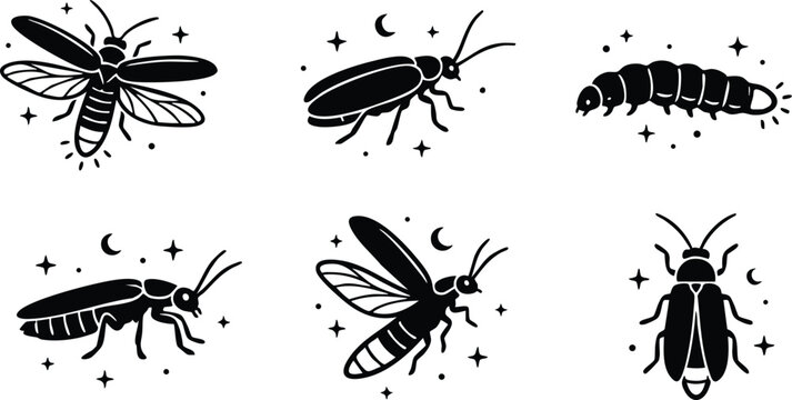 Black and white firefly insect vector art with stars and moon icons
