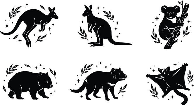 Black and white kangaroo koala wombat tapir and sugar glider vector art set