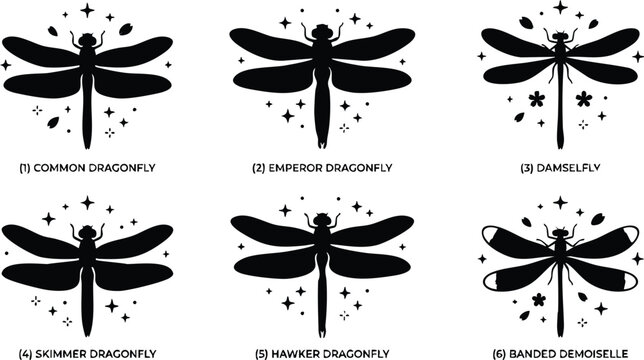 Black and white silhouettes of six dragonfly species with stars and flowers vector art