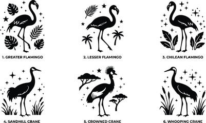 Fototapeta premium Black and white silhouettes of six different flamingo and crane bird species with botanical accents