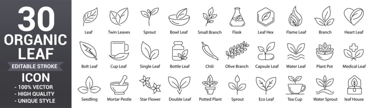 Organic leaf icons set. Minimal editable vector stroke botanical, plant, basil, nature, leaves, garden and more collection. Leaves vector