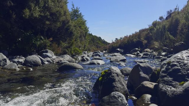 Clear water of a mountain stream flowing over boulders through the alpine scrubland of Tongariro National Park
