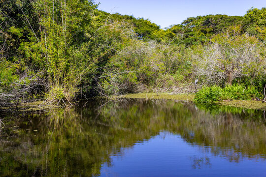Serene lake surrounded by lush vegetation at Porto Alegre Botanical Garden, Brazil.