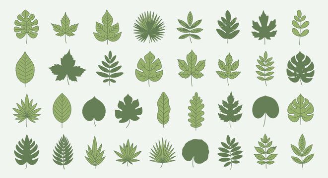 Collection of various green leaf shapes.