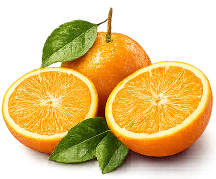 ORANGE ILUSTRATION