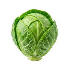Fototapeta premium A crisp head of romaine lettuce on transparent background