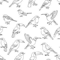 Fototapeta premium Patterned illustration featuring multiple small birds in various poses, including flight and perching.