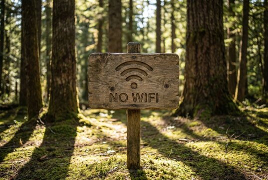 Wooden sign with no wifi symbol in forest with sunlight through trees. Concept of digital detox and disconnection from internet. Travel into nature for peaceful retreat and relaxation.