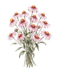 Obraz premium Soft pink wildflowers gathered in a peaceful botanical bouquet.