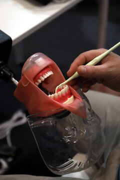 dentista practicando tratamiento dental en una dentadura para practica